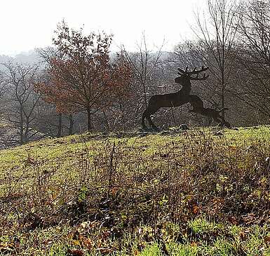 Wildnisschule Hoher Fläming