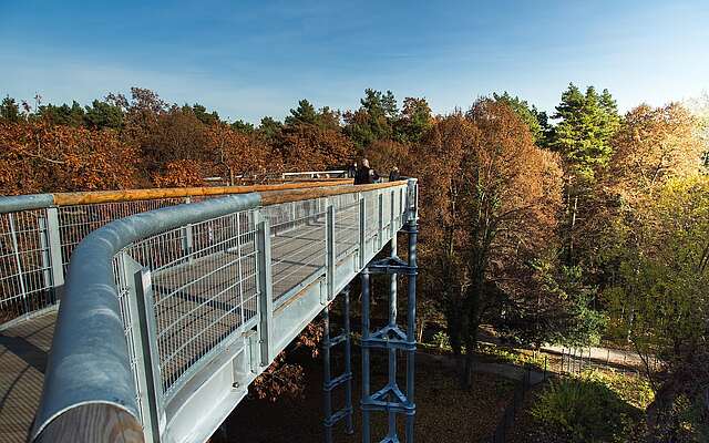 Baum&Zeit Baumkronenpfad