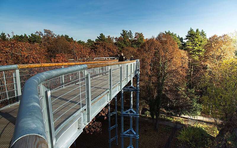 Baum&Zeit Baumkronenpfad