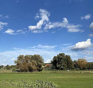 Weiden hinter Hennickendorf in Nuthe-Urstromtal