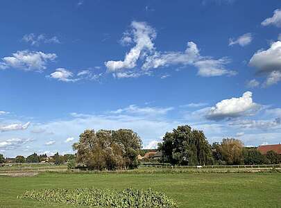 Weiden hinter Hennickendorf in Nuthe-Urstromtal