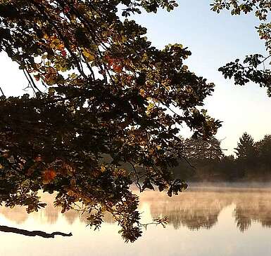Seddiner See im Herbst