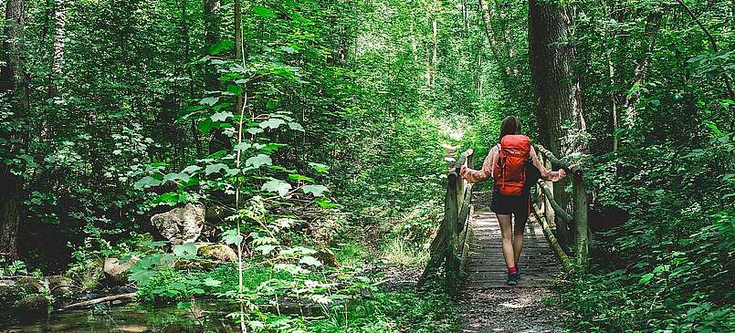 Im Nieplitztal bei Treuenbrietzen