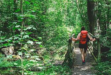 Im Nieplitztal bei Treuenbrietzen