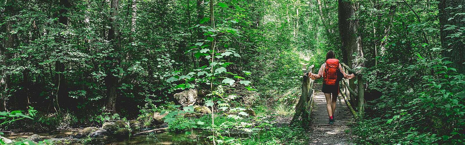 Im Nieplitztal bei Treuenbrietzen