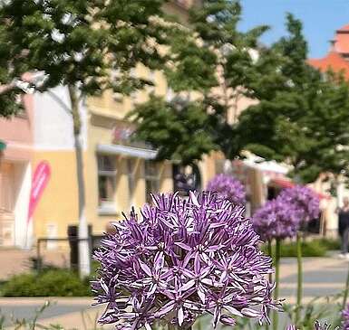 Luckenwalde Boulevard