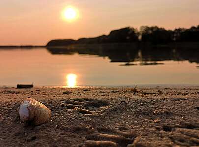 Spätsommerabend am Seddiner See