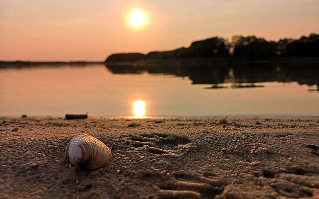 Spätsommerabend am Seddiner See
