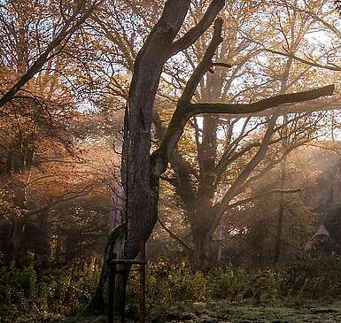 Beelitz Heilstätten Lichtspiel