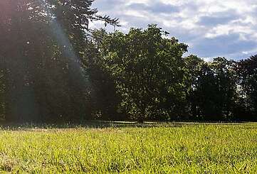 Wandergruppe im Schlosspark Wiesenburg