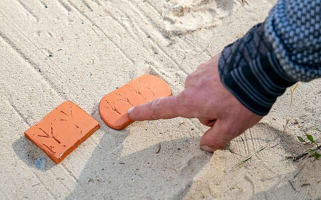 Wildnisschule Hoher Fläming - Paul Wernicke erklärt Vogelspuren