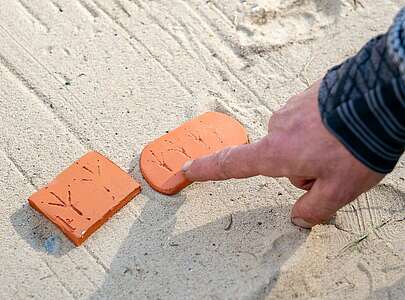 Wildnisschule Hoher Fläming - Paul Wernicke erklärt Vogelspuren