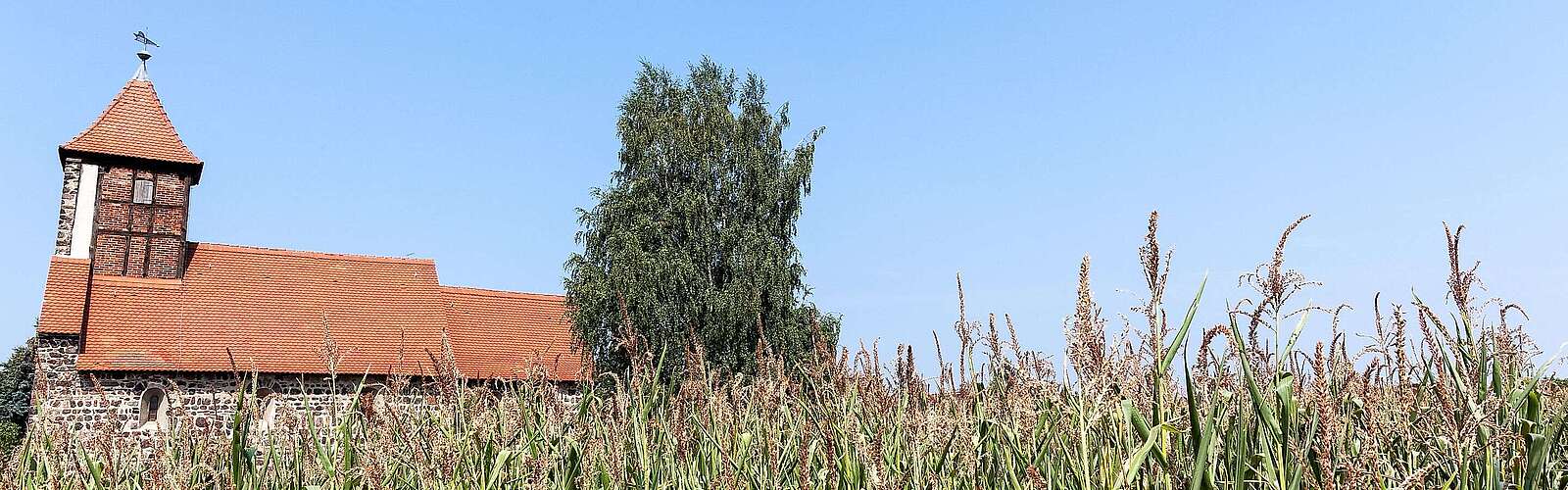 Landschaft im Naturpark Fläming