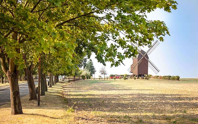 Die Dennewitzer Hochzeitsmühle