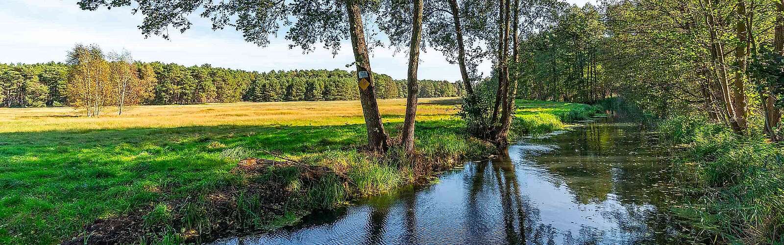 <p>Flusslandschaft zwischen Gottower See und Hammerfließ, Gottow, Baruther Urstromtal, Fläming, Brandenburg, Deutschland</p>
