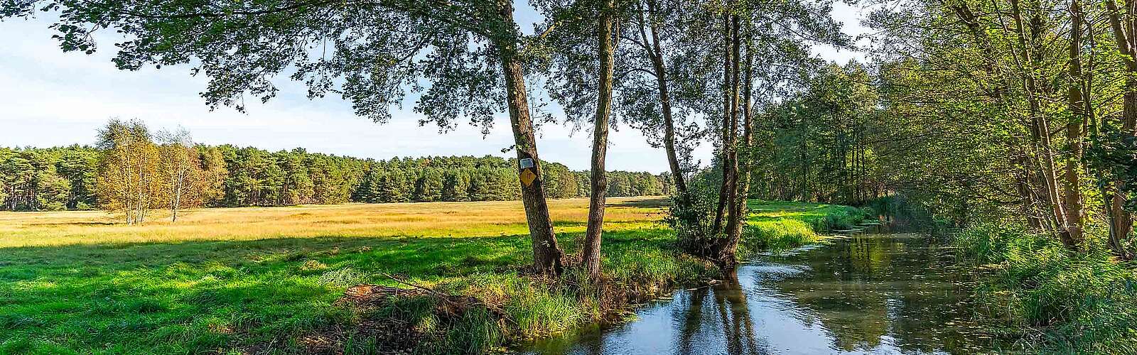 <p>Flusslandschaft zwischen Gottower See und Hammerfließ, Gottow, Baruther Urstromtal, Fläming, Brandenburg, Deutschland</p>