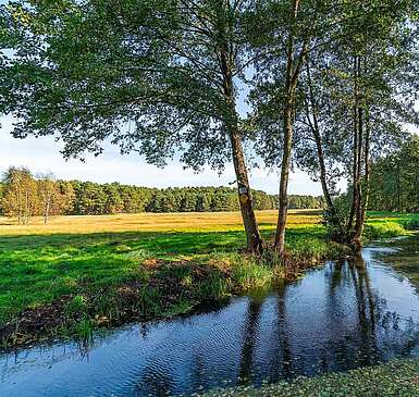 <p>Flusslandschaft zwischen Gottower See und Hammerfließ, Gottow, Baruther Urstromtal, Fläming, Brandenburg, Deutschland</p>