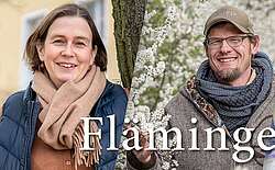 Fläminger Löwen