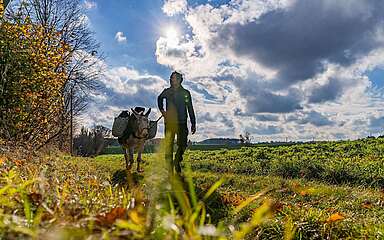 Eselnomaden Jan Prowaznik unterwegs mit Eseln