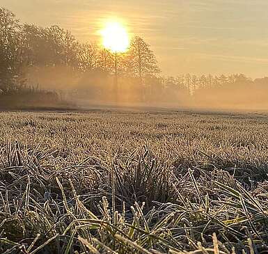 Feld mit Reif bei Beelitz