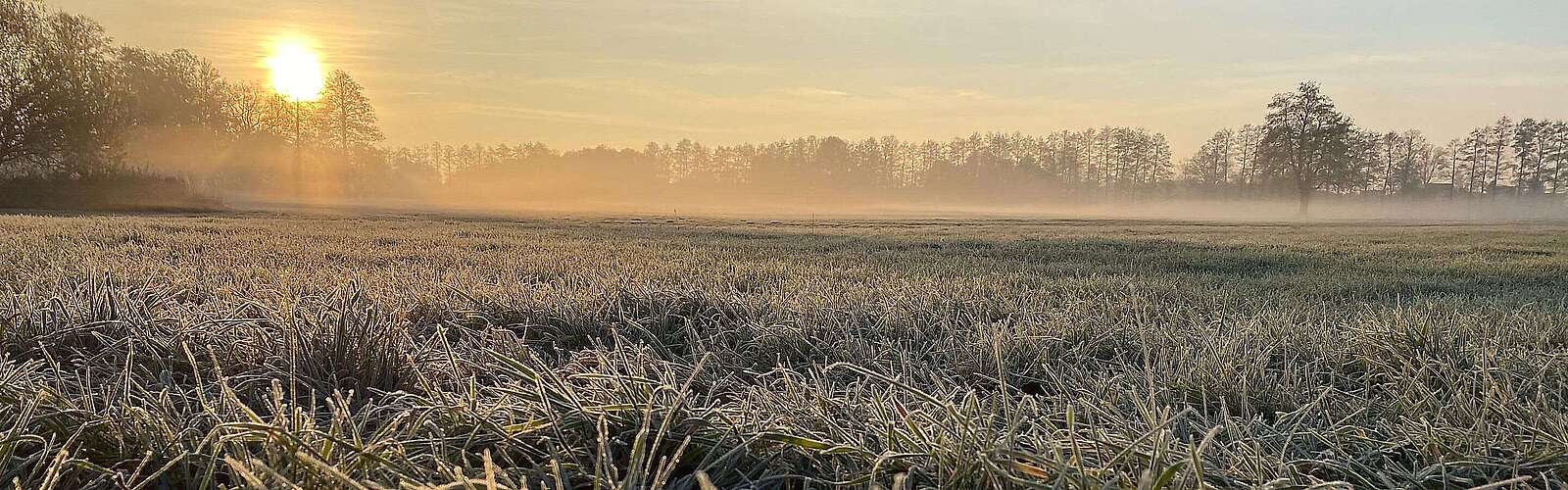 Feld mit Reif bei Beelitz