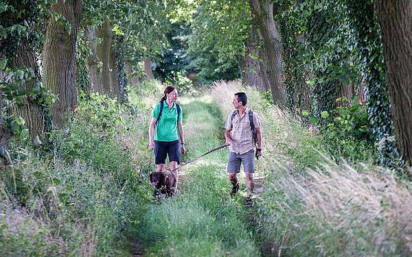 Paar wandert mit Hund im Hohen Fläming durch eine Allee