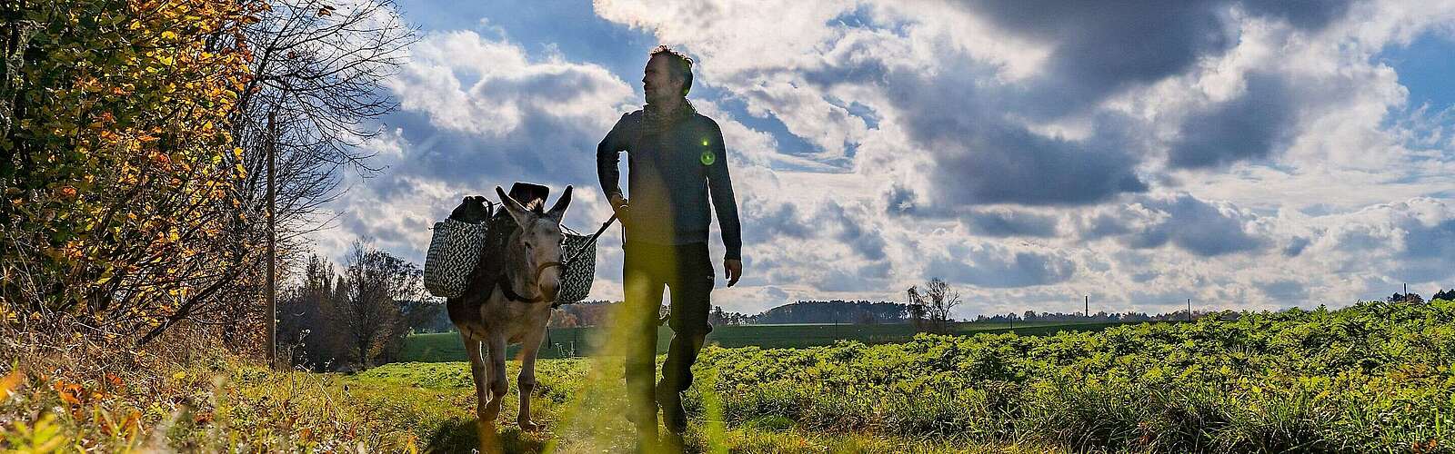 Eselwandern mit Jan Prowaznik von den Eselnomaden
