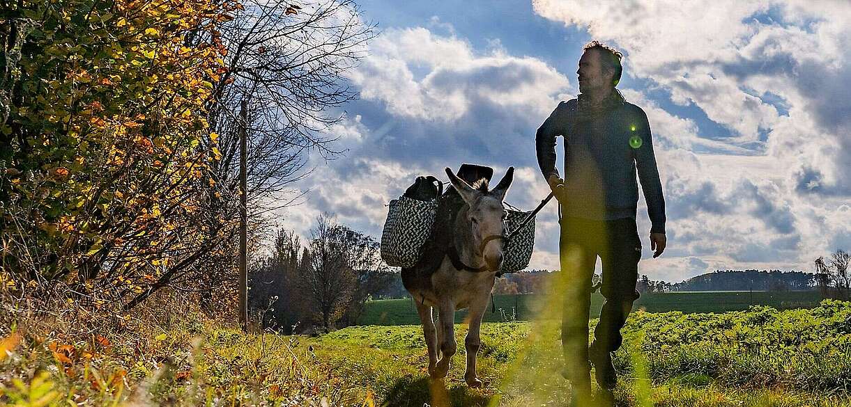 Eselwandern mit Jan Prowaznik von den Eselnomaden
