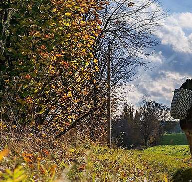 Eselwandern mit Jan Prowaznik von den Eselnomaden