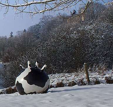 Winter im Naturpark Hoher Fläming