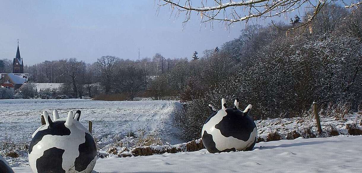 Winter im Naturpark Hoher Fläming