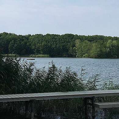 Bootssteg am Motzener See in Kallinchen