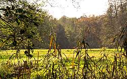 Naturparke im Fläming