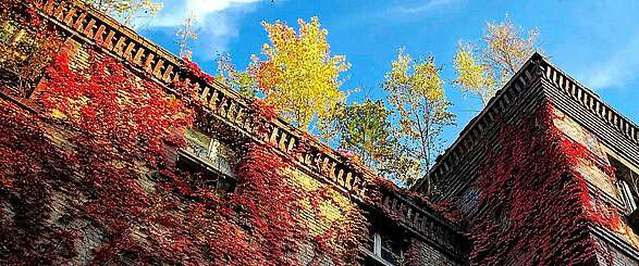 Beelitz Heilstätten im Herbst