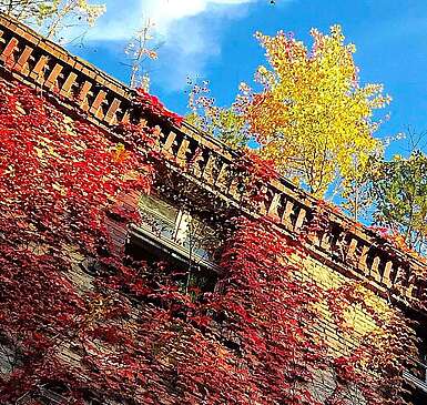 Beelitz Heilstätten im Herbst