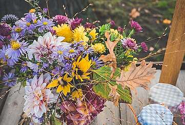 Städteporträt Nuthetal - Gartenzaunverkauf - Mobile Header