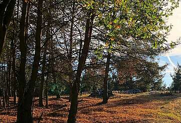 Wildgehege Glauer Tal