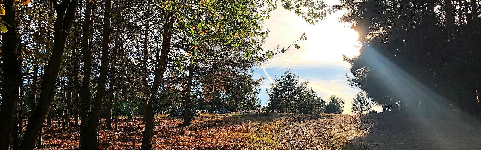 Wildgehege Glauer Tal