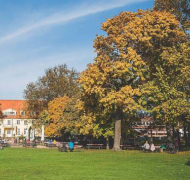 Städteporträt Großbeeren - Schloss Diedersdorf mit Biergarten