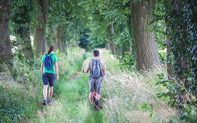 Wanderer im Hohen Fläming