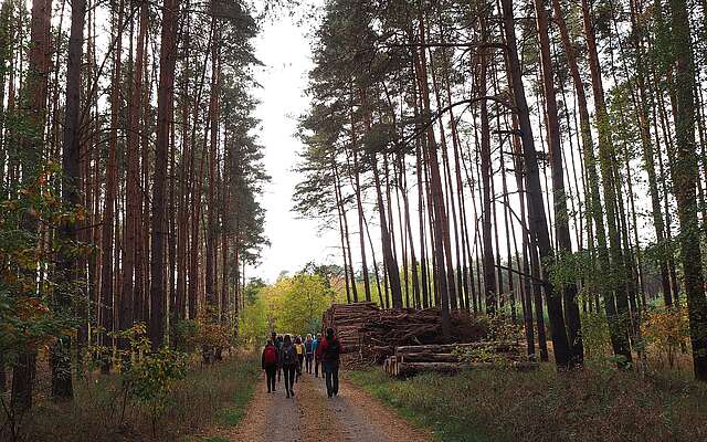 Wanderlust im Fläming