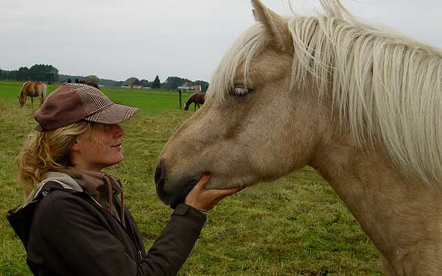 Reiter- & Erlebnisbauernhof Groß Briesen