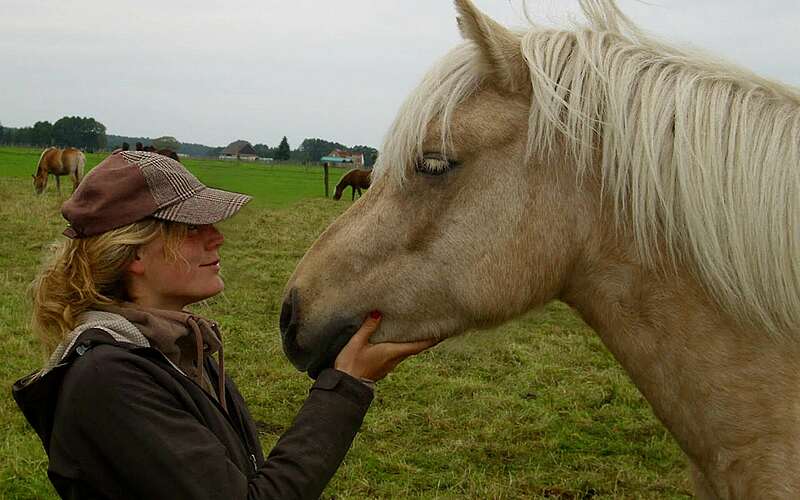 Reiter- & Erlebnisbauernhof Groß Briesen