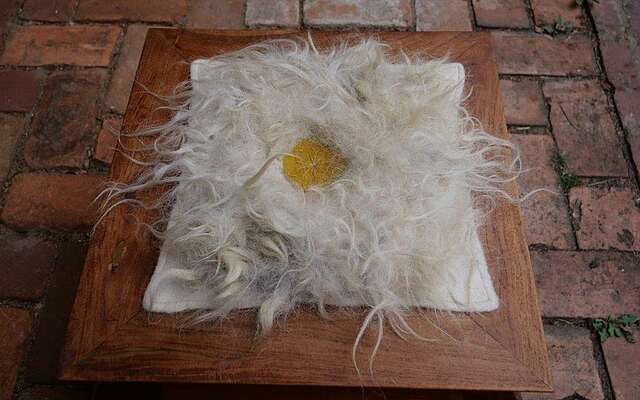 Filz-Kurse mit Imke Bona