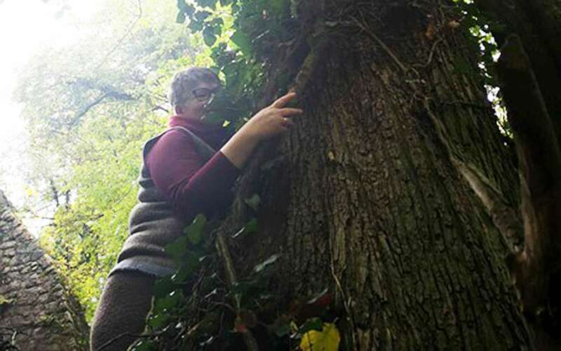 Britt Muschert beim Waldbaden