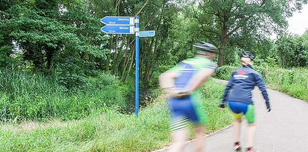 Speedskater auf der Flaeming-Skate