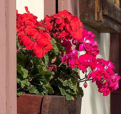 Städteporträt Teltow