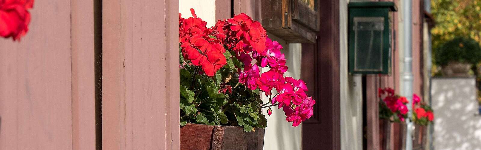 Städteporträt Teltow