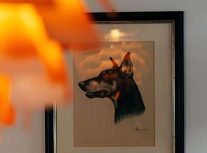 Details im Sjö Hus bei Marion Pods