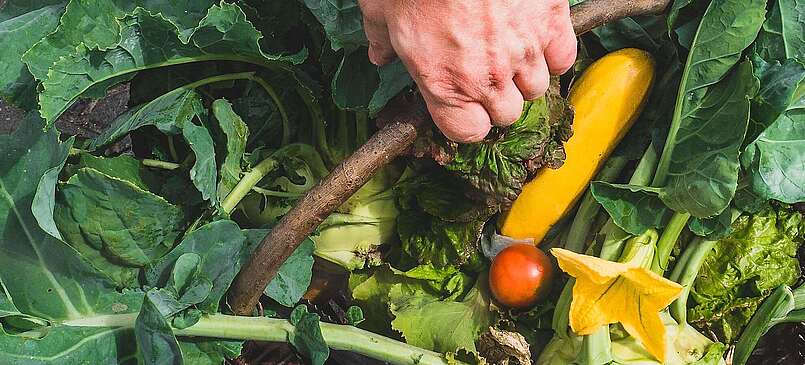 Ein Korb voll regionaler Produkte - Daniel Reuner